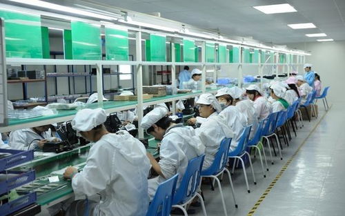 电子厂的Java之梦与打工之痛 唯有知识能改写疲惫命运